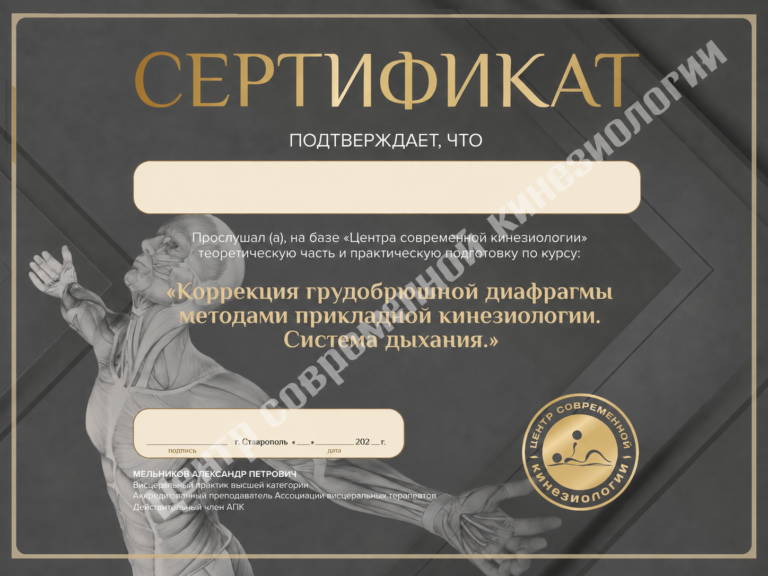 Коррекция грудобрюшной диафрагмы методами прикладной кинезиологии. Система дыхания
